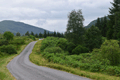 images/thumbs/DSC_1168.gif