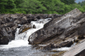 images/thumbs/DSC_1175.gif