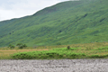images/thumbs/DSC_1191.gif