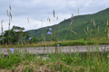 images/thumbs/DSC_1194.gif