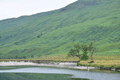 images/thumbs/DSC_1204.gif