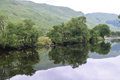 images/thumbs/DSC_1210.gif