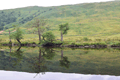images/thumbs/DSC_1214.gif
