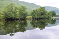 images/thumbs/DSC_1220.gif