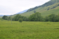 images/thumbs/DSC_1221.gif