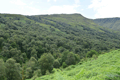 images/thumbs/DSC_1297.gif
