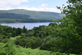 images/thumbs/DSC_1301.gif