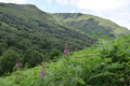 images/thumbs/DSC_1303.gif