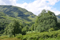 images/thumbs/DSC_1311.gif