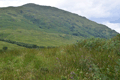 images/thumbs/DSC_1316.gif