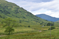 images/thumbs/DSC_1322.gif