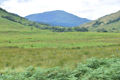 images/thumbs/DSC_1330.gif