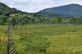 images/thumbs/DSC_1334.gif