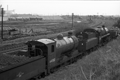 images/thumbs/Pic1112.gif