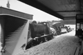 images/thumbs/Pic1188.gif