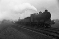 images/thumbs/Pic1209.gif