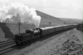 images/thumbs/Pic1247.gif