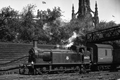 images/thumbs/Pic1261.gif