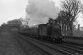 images/thumbs/Pic1272.gif