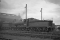 images/thumbs/Pic1308.gif