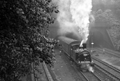 images/thumbs/Pic1321.gif