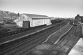 images/thumbs/Pic1350.gif