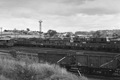 images/thumbs/Pic1354.gif