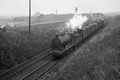 images/thumbs/Pic1388.gif