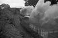 images/thumbs/Pic1389.gif