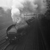 images/thumbs/Pic914.gif