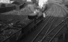 images/thumbs/Pic917.gif