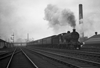 images/thumbs/Pic927.gif