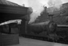 images/thumbs/Pic929.gif